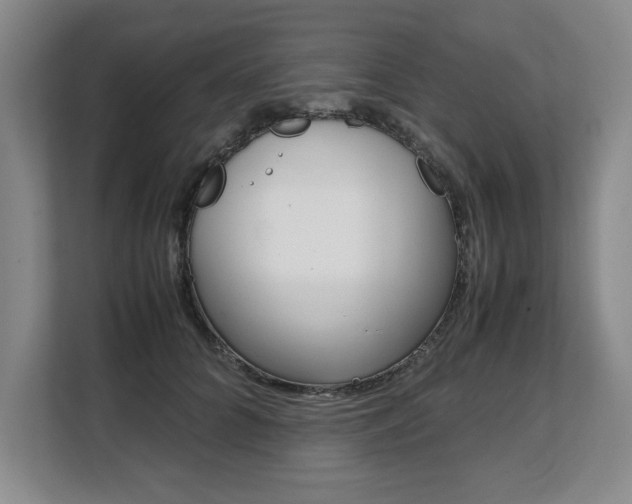 X0000108480704200904031119