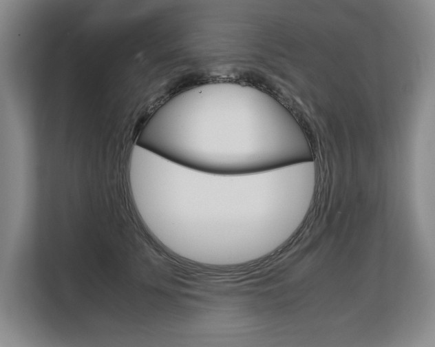 X0000108480707200904031119