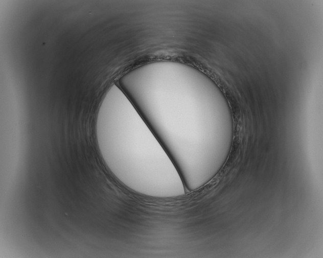 X0000108480708200904031119