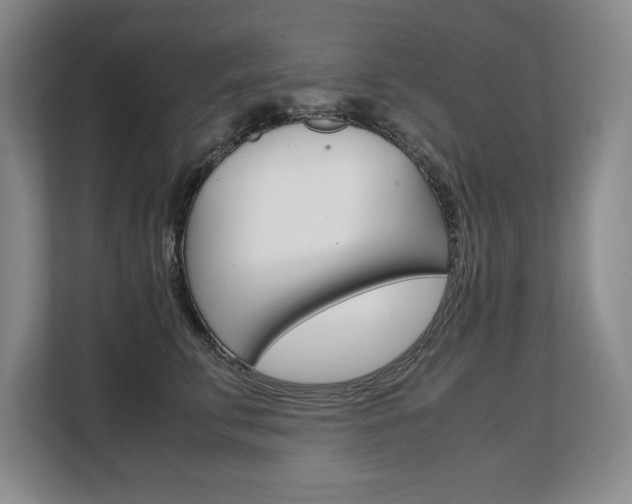 X0000108480711200904031119