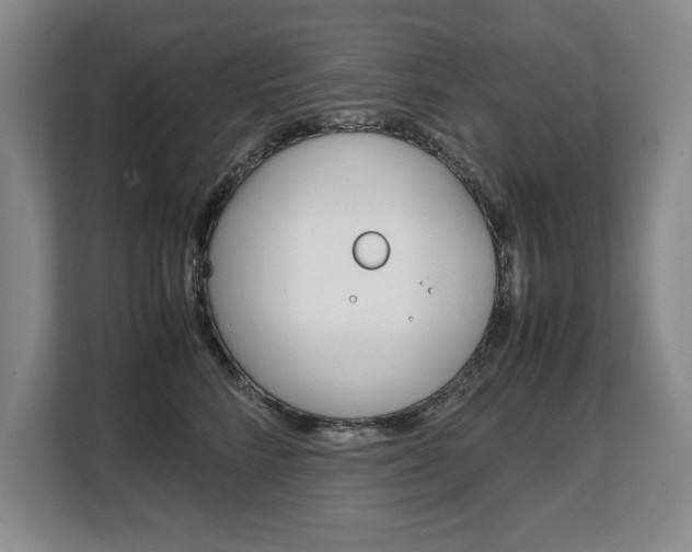 X0000108480712200904031119