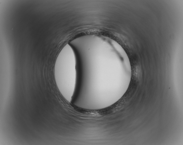 X0000108480715200904031119