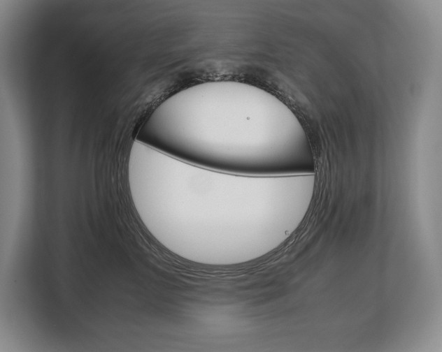 X0000108480719200904031119