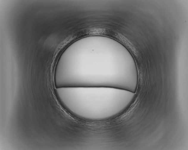 X0000108480721200904031119