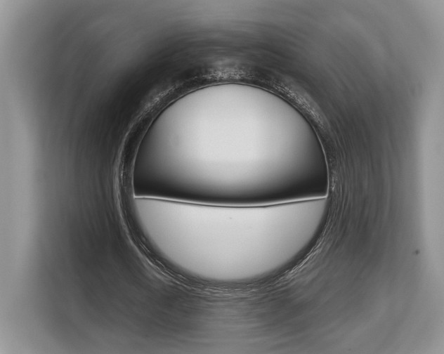 X0000108480722200904031119