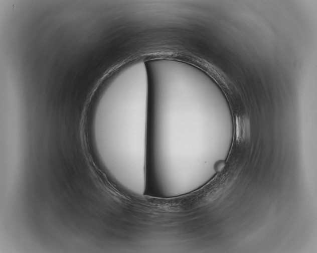 X0000108480723200904031119