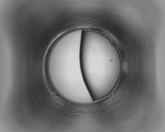 X0000108480724200904031119