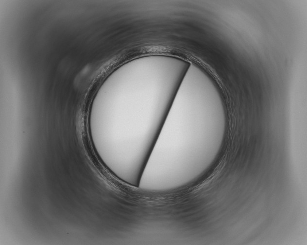X0000108480725200904031119
