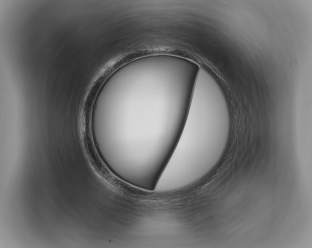 X0000108480726200904031119
