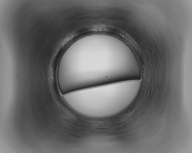 X0000108480727200904031119
