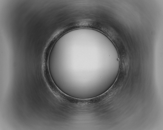 X0000108480728200904031119