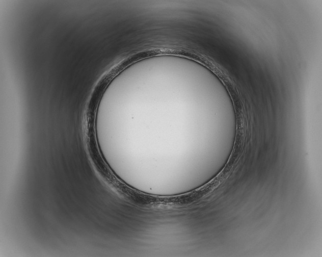 X0000108480730200904031119