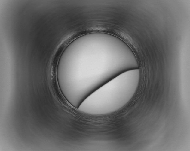 X0000108480731200904031119