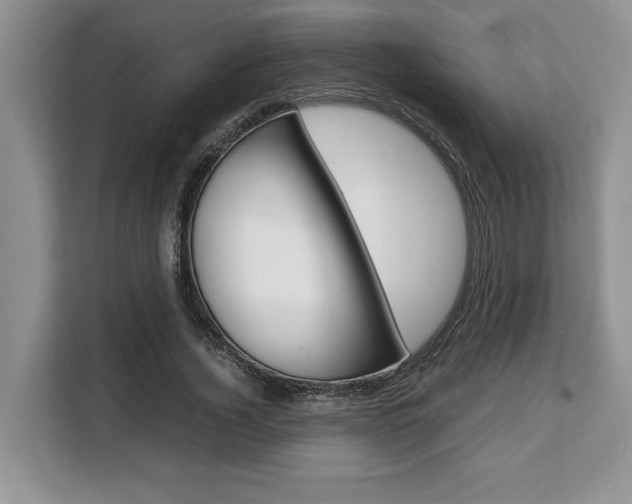 X0000108480732200904031119