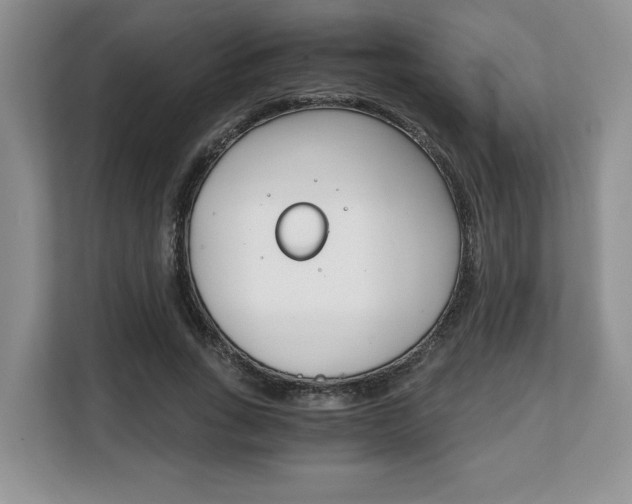 X0000108480735200904031119