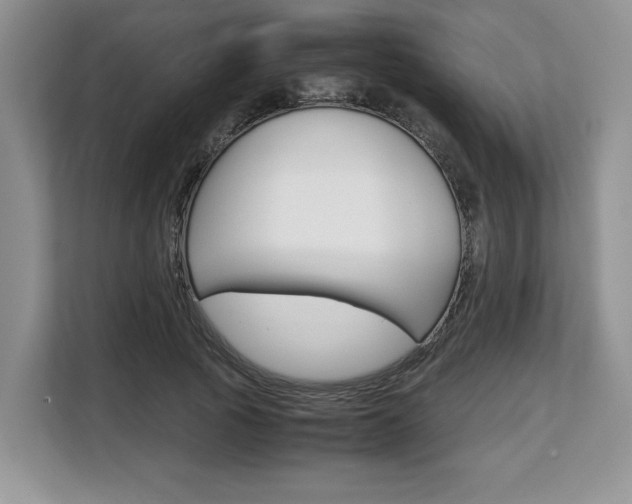 X0000108480737200904031119