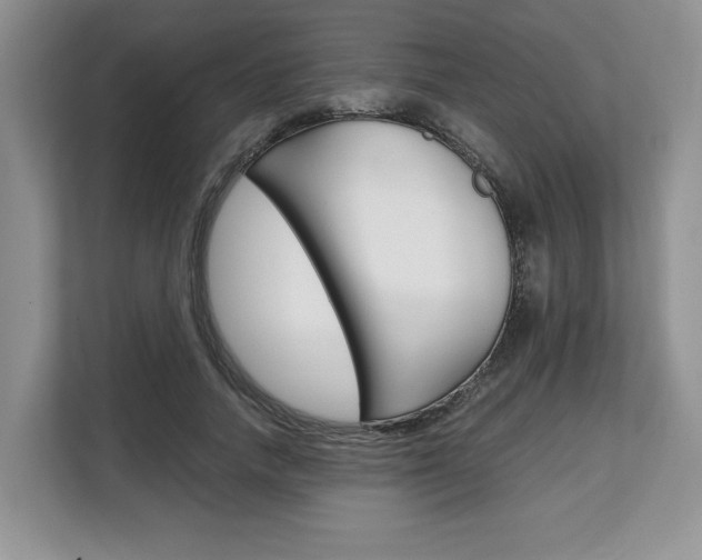 X0000108480738200904031119