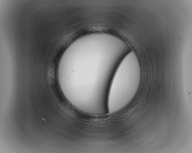 X0000108480739200904031119