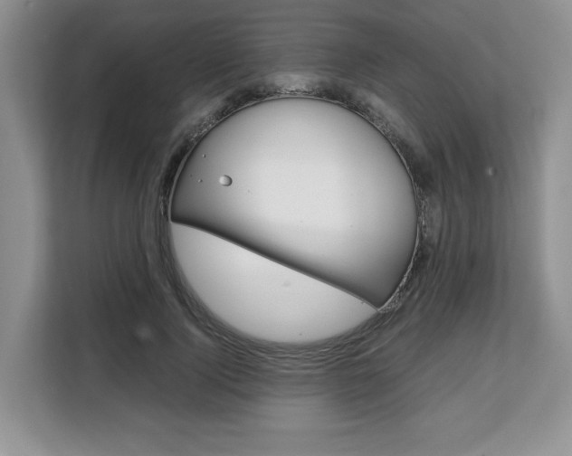 X0000108480740200904031119