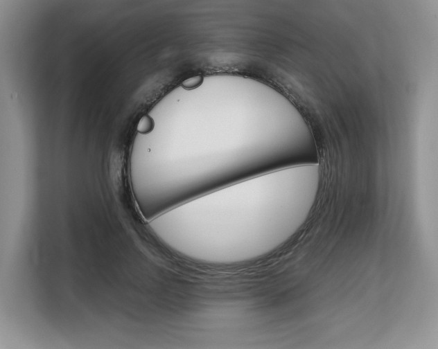 X0000108480742200904031119