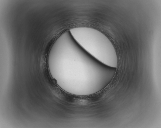 X0000108480743200904031119