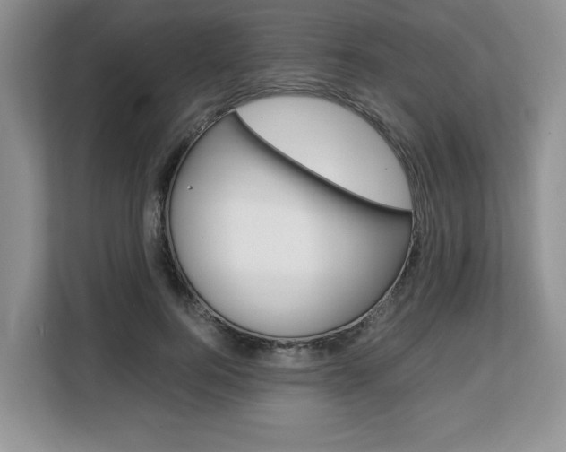X0000108480744200904031119