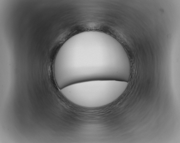 X0000108480746200904031119