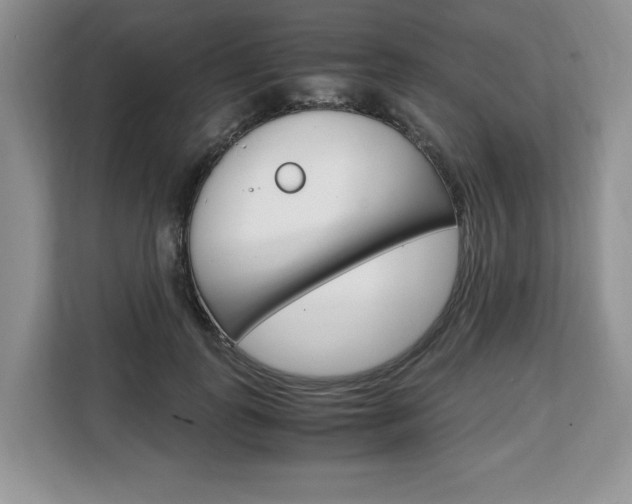 X0000108480747200904031119