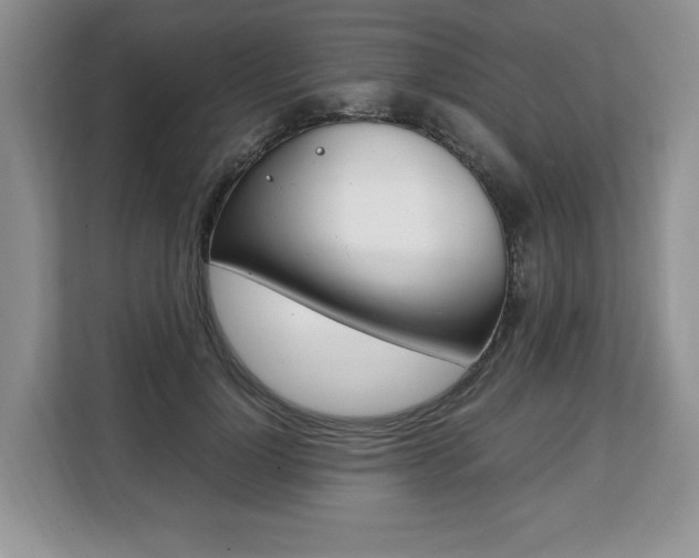X0000108480748200904031119