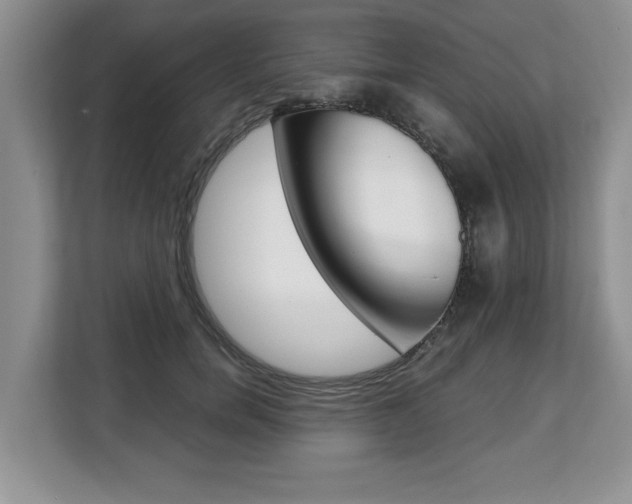 X0000108480750200904031119