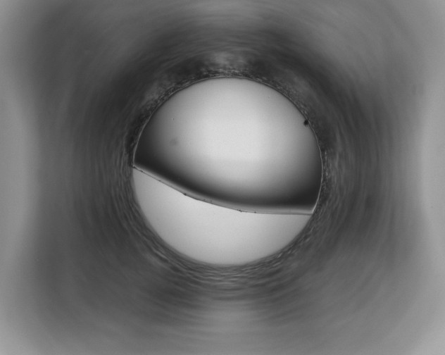 X0000108480752200904031119
