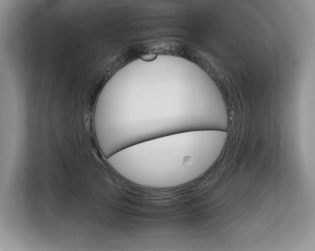 X0000108480753200904031119