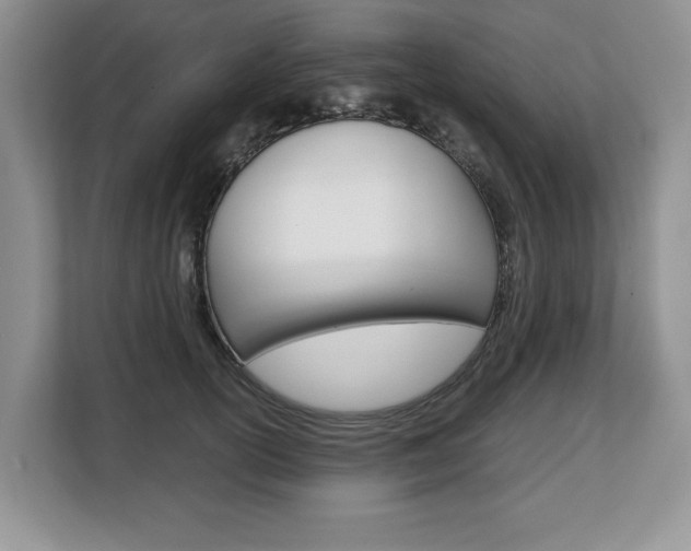 X0000108480754200904031119