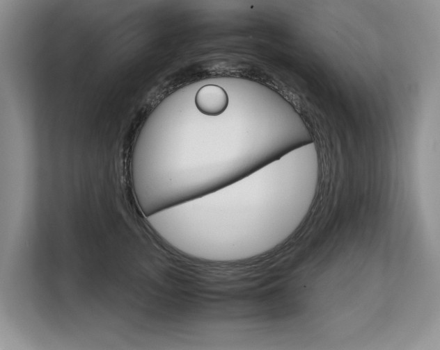 X0000108480755200904031119