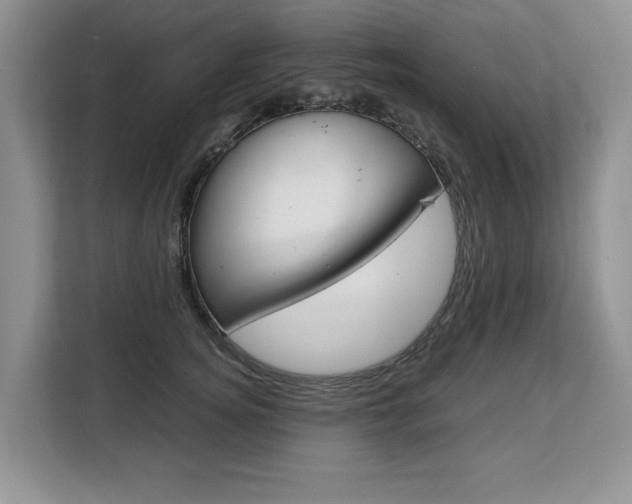 X0000108480756200904031119