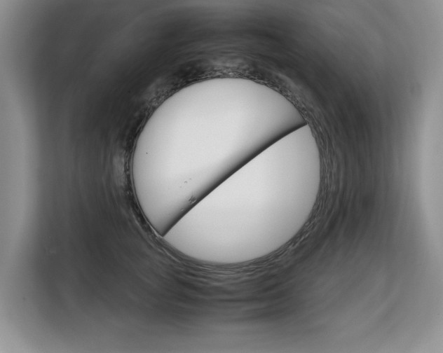 X0000108480757200904031119