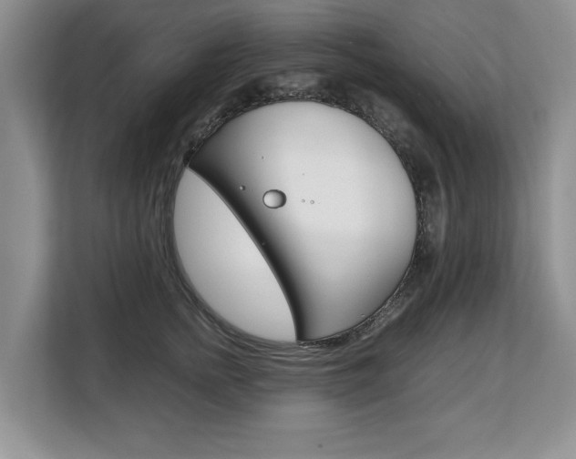 X0000108480758200904031119
