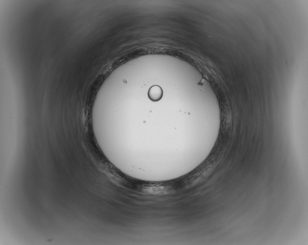 X0000108480759200904031119