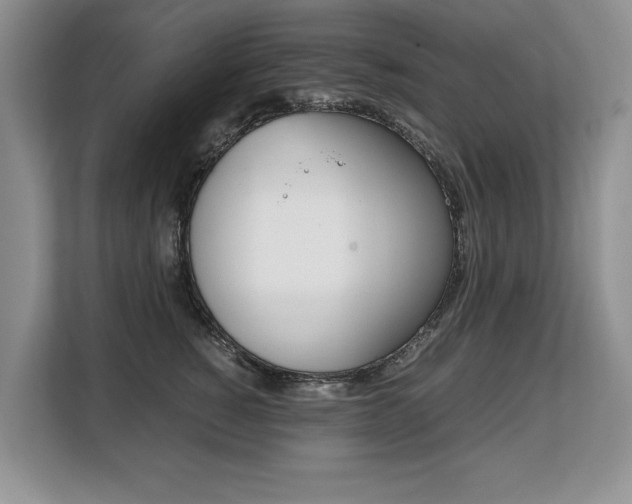 X0000108480760200904031119