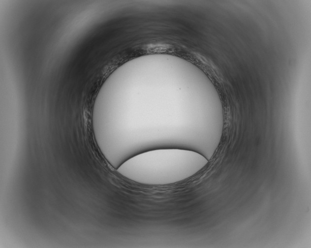 X0000108480761200904031119