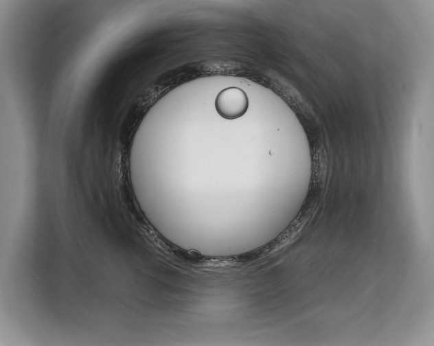 X0000108480762200904031119