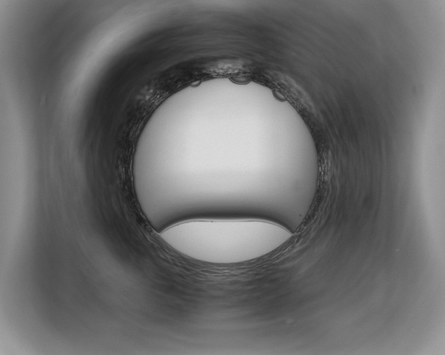 X0000108480763200904031119