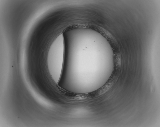 X0000108480764200904031119