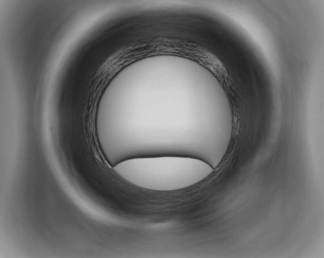 X0000108480765200904031119