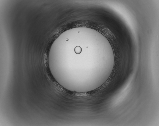 X0000108480767200904031119