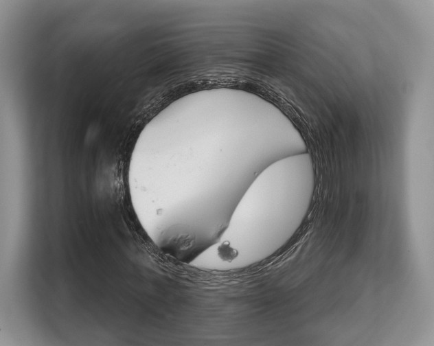 X0000108480771200904031119