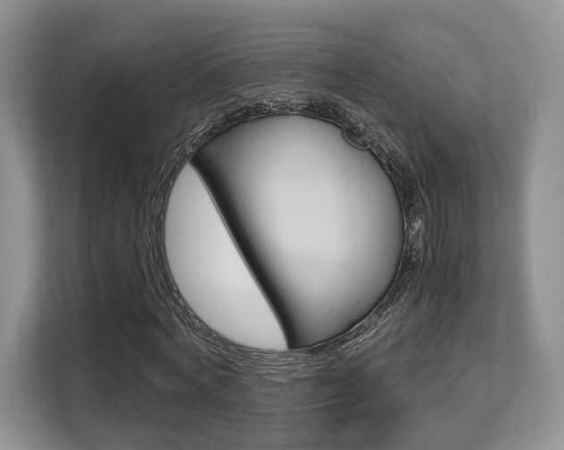 X0000108480772200904031119