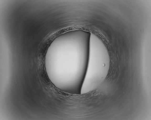 X0000108480773200904031119