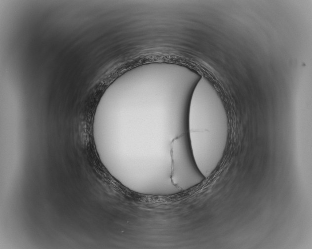 X0000108480774200904031119