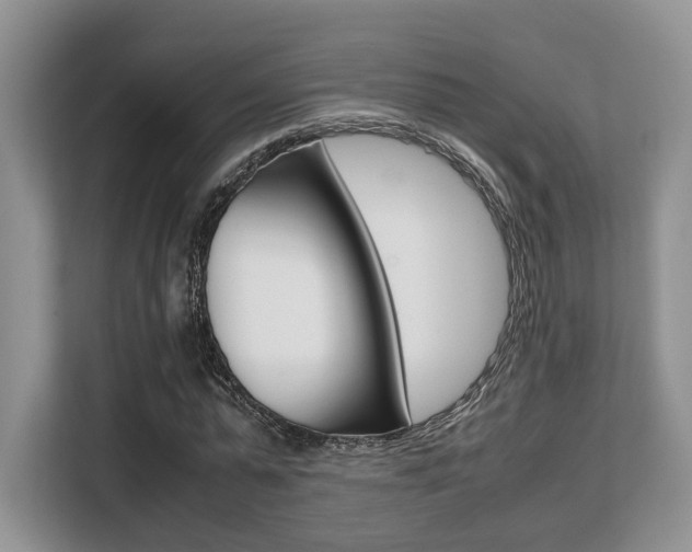 X0000108480775200904031119